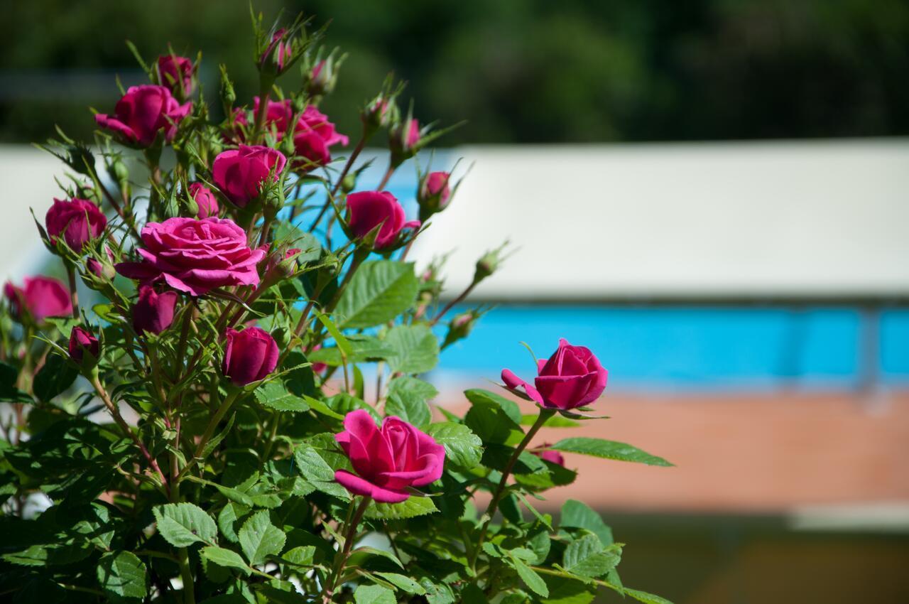 Casa Del Merlo Holiday home Sant'Andrea di Compito